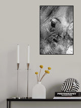 Southern White Rhino Poster och Canvastavla