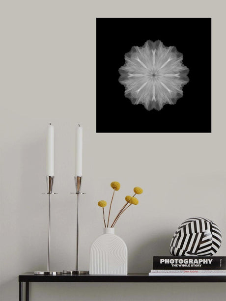 A former flower Poster och Canvastavla