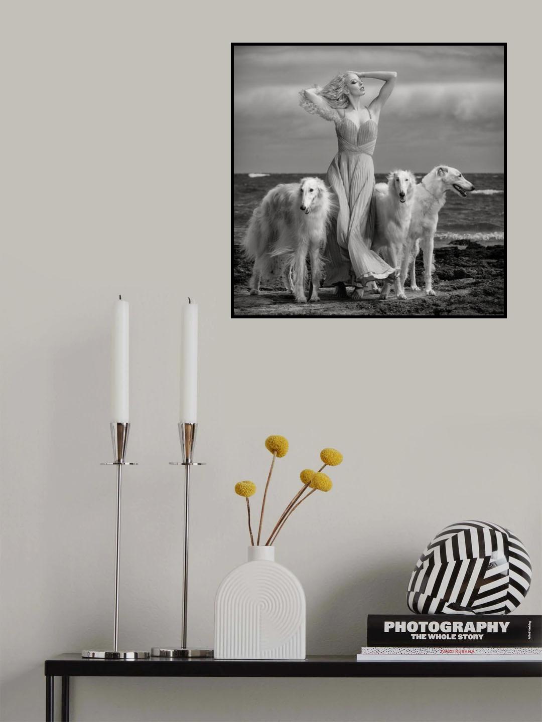 Lady with Hounds Poster och Canvastavla