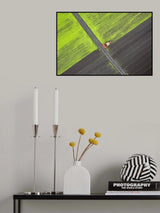 Alone in the field Poster och Canvastavla