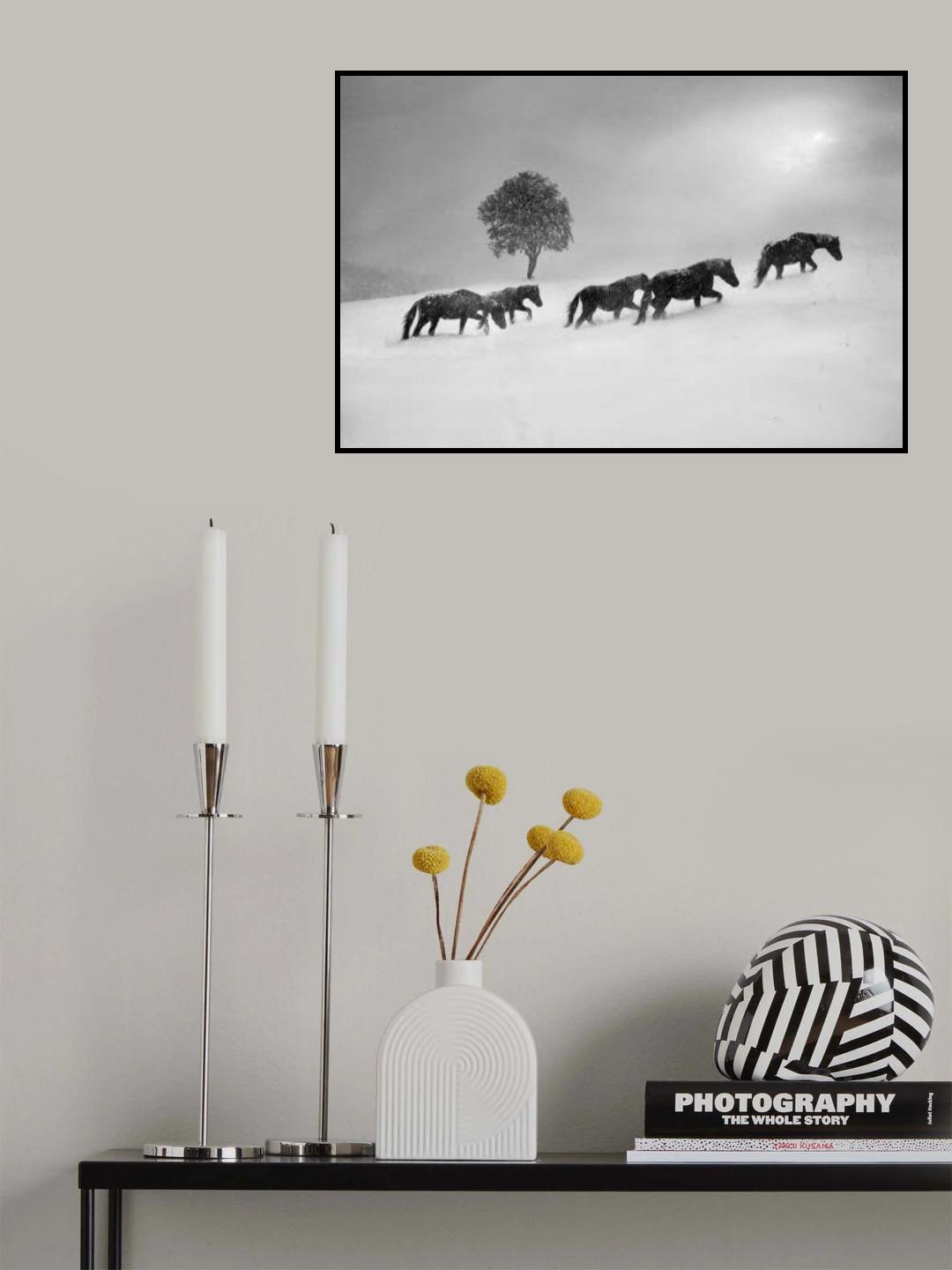 Poster och Canvastavla