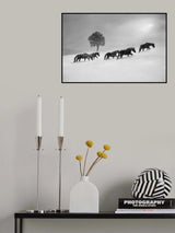 Poster och Canvastavla