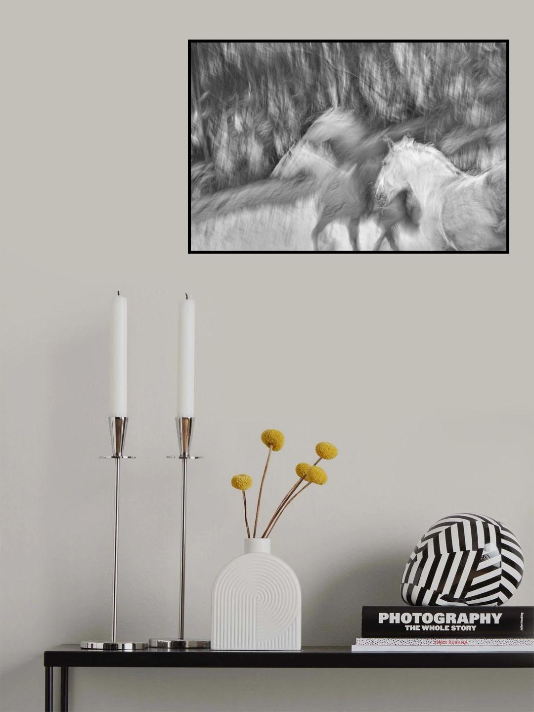 Black and white winter Poster och Canvastavla