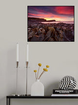 Curio Bay Morning Poster och Canvastavla