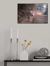 9 Poster och Canvastavla