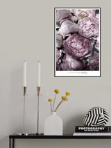 Life blooms everyday peonies Poster och Canvastavla