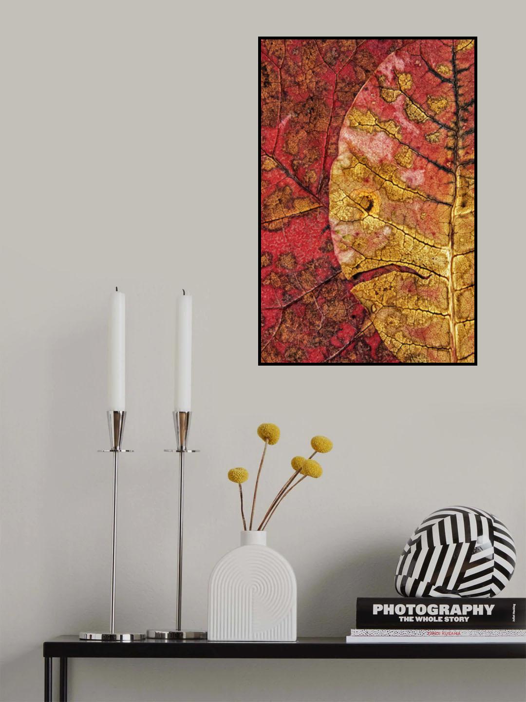 Dying Leaf Poster och Canvastavla