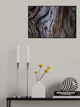 Eucalyptus Texture Poster och Canvastavla