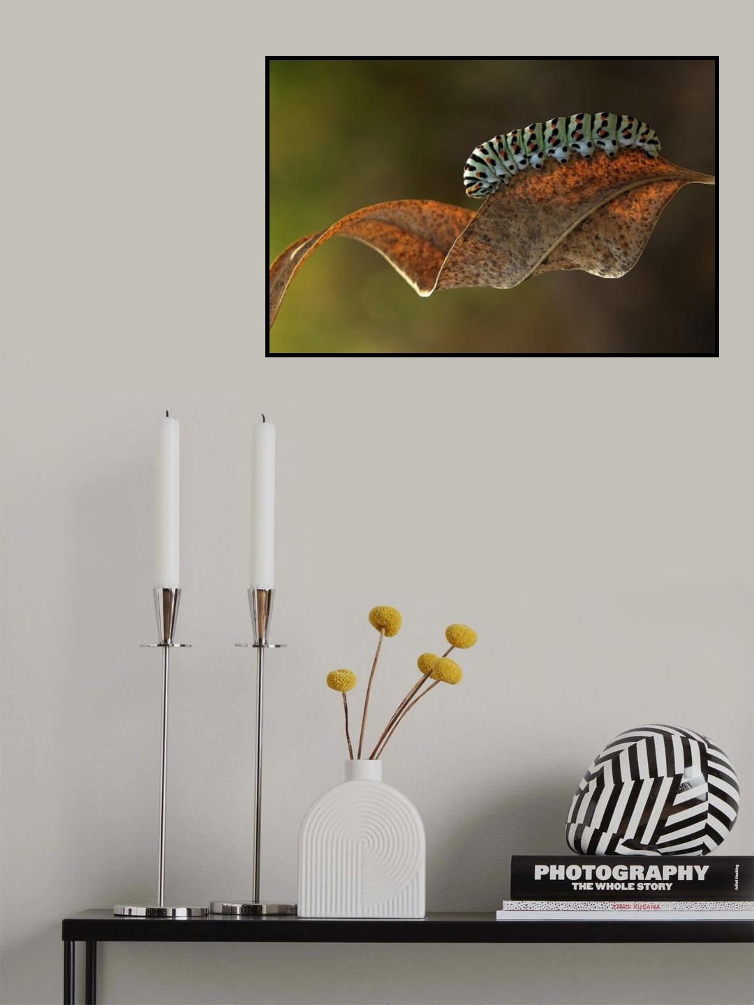 caterpillar Poster och Canvastavla