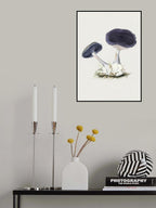 Vintage Violet Webcap Mushroom Poster och Canvastavla