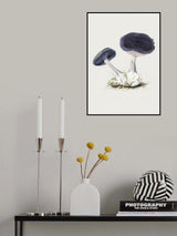 Vintage Violet Webcap Mushroom Poster och Canvastavla