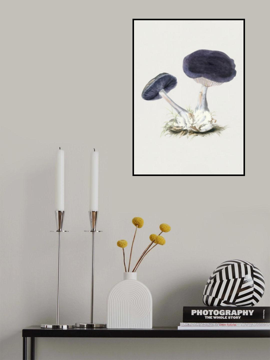 Vintage Violet Webcap Mushroom Poster och Canvastavla