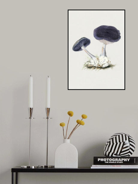 Vintage Violet Webcap Mushroom Poster och Canvastavla