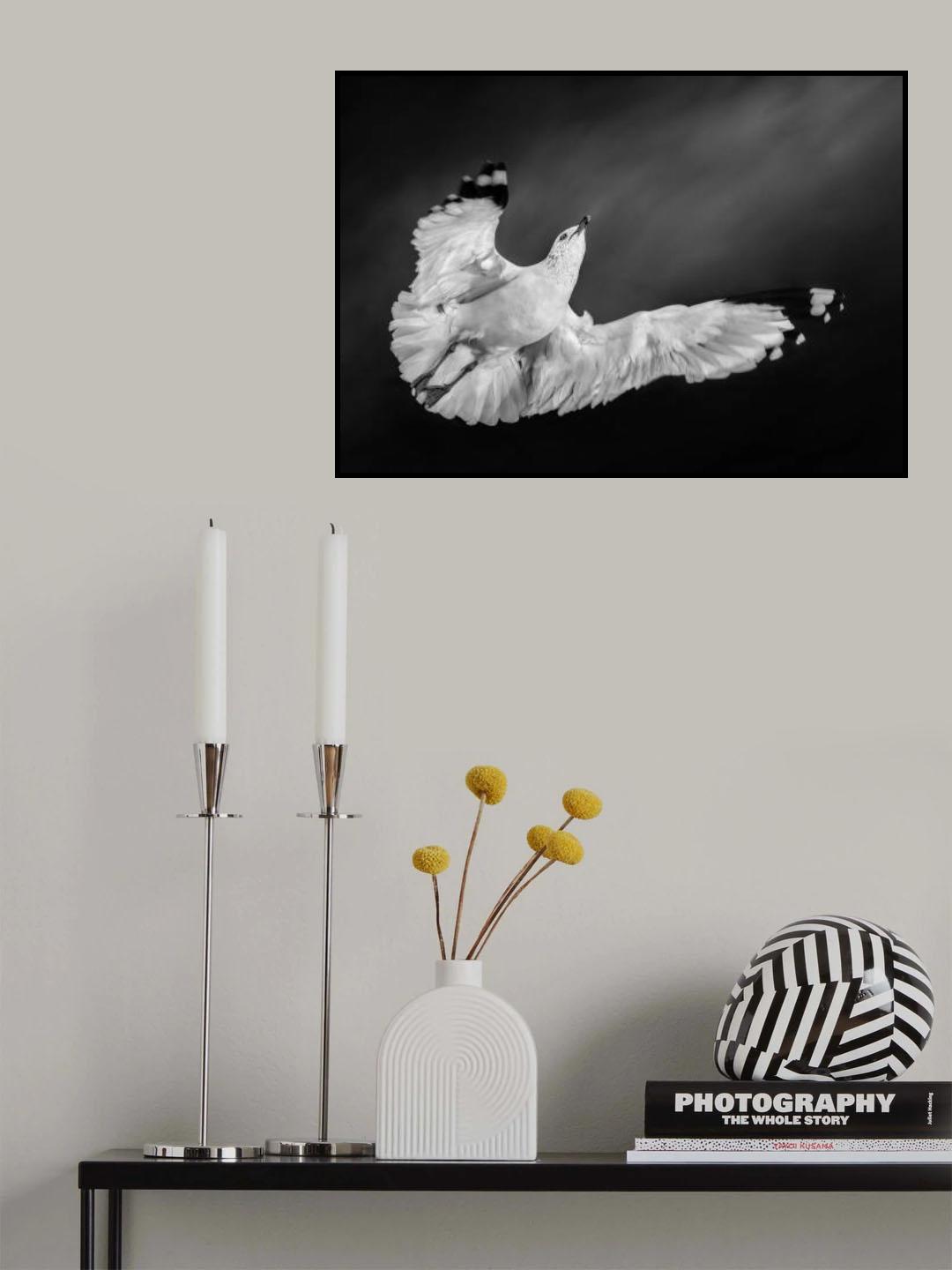 Flying towards the Sun II Poster och Canvastavla