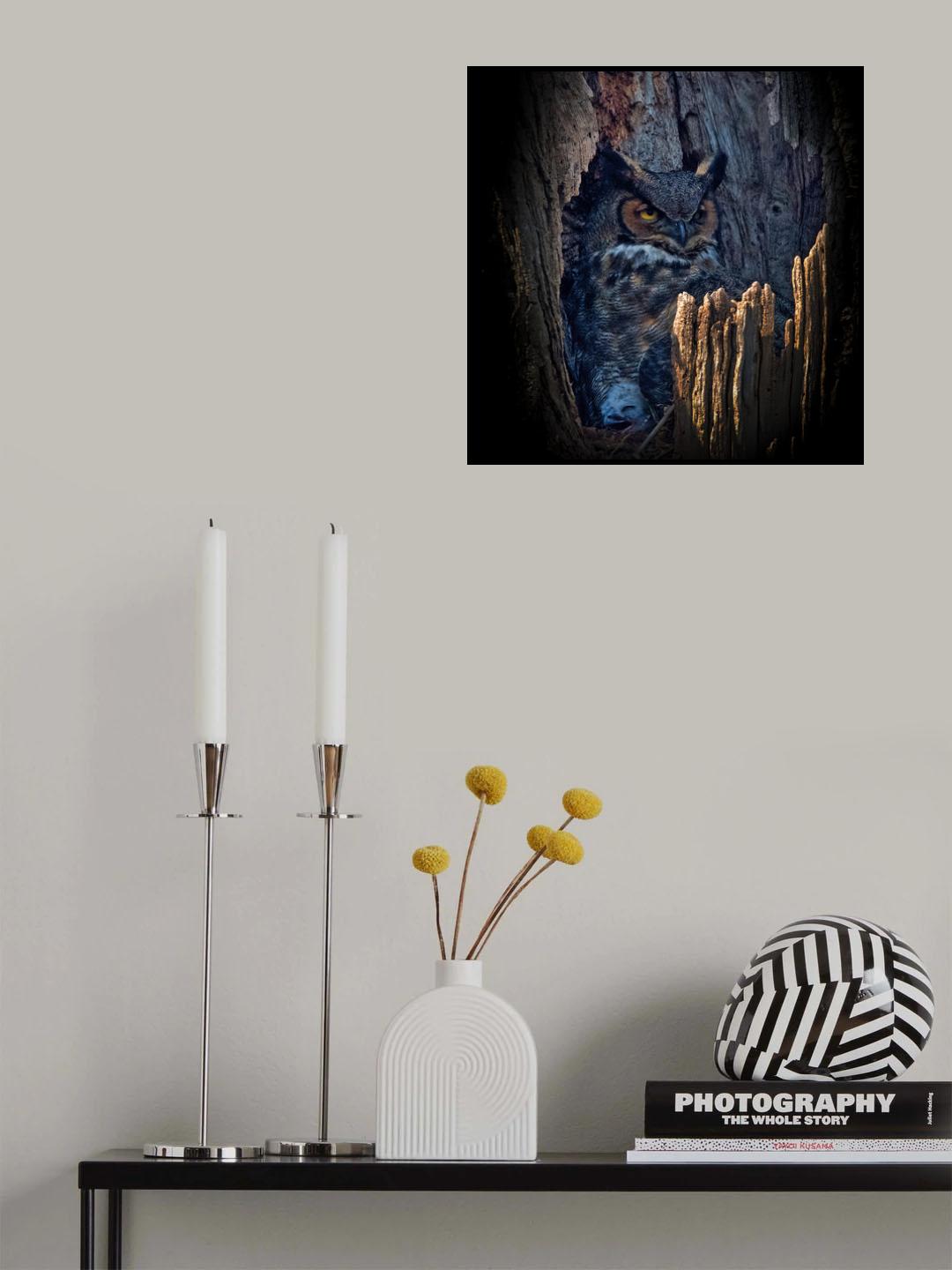 Hide and Seek Poster och Canvastavla