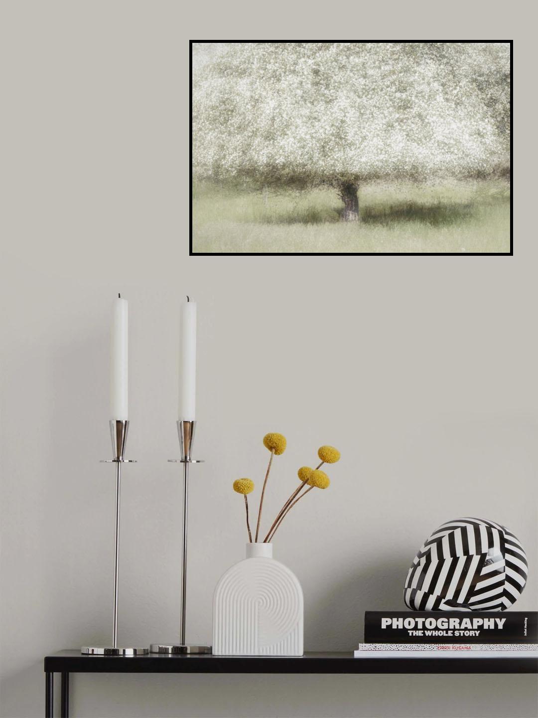 In the backyard Poster och Canvastavla