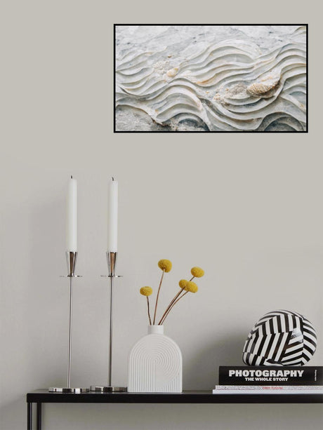 Sea Shell Detail No 6 Poster och Canvastavla