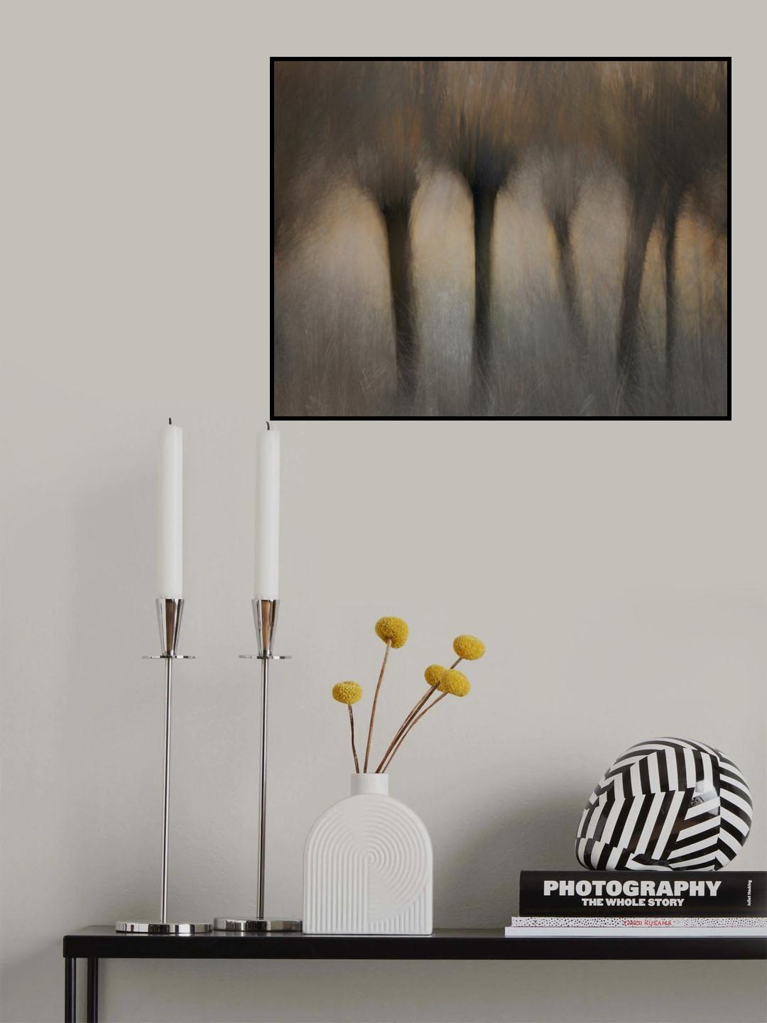 Pollard willows Poster och Canvastavla