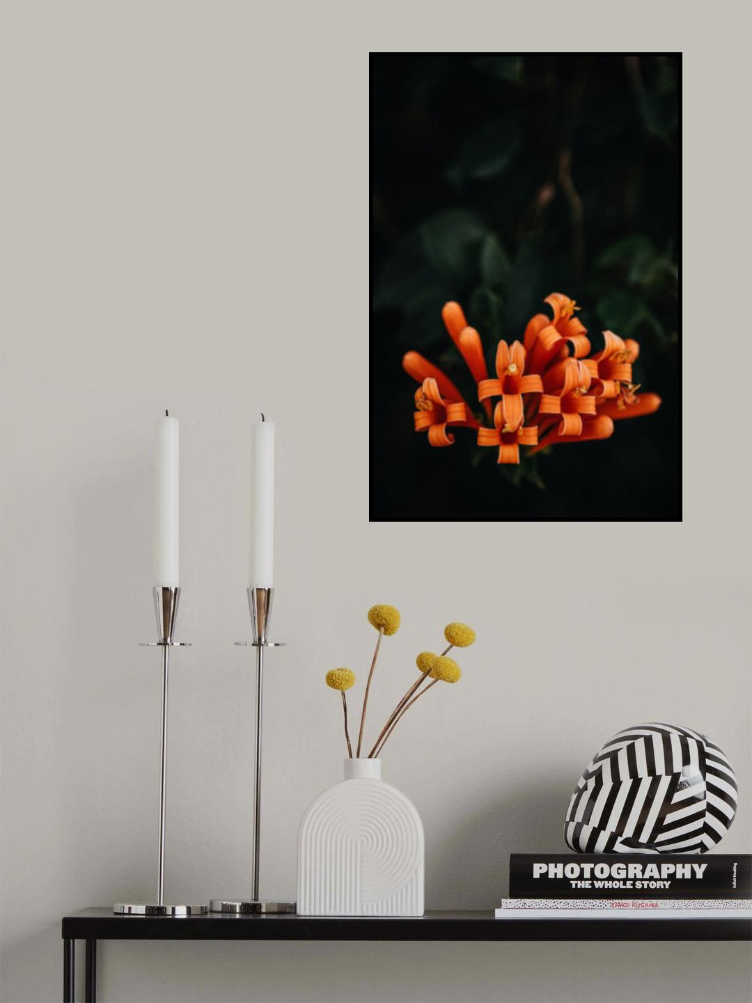 Orange Flowers Poster och Canvastavla