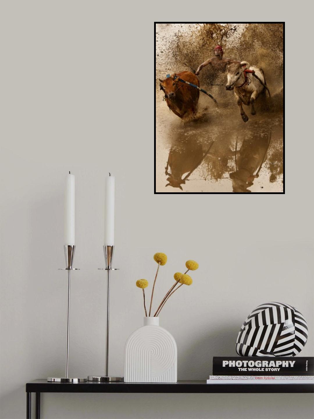 pacu jawi Poster och Canvastavla