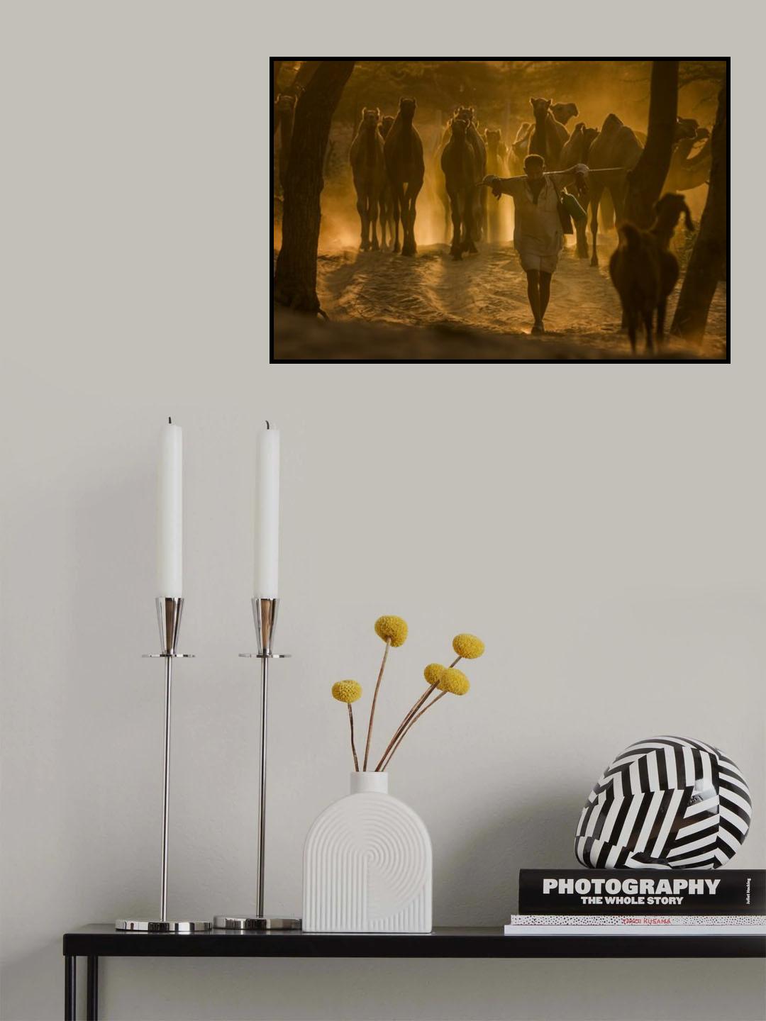 herd on a walk Poster och Canvastavla