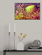 Splash of Colour1 Poster och Canvastavla