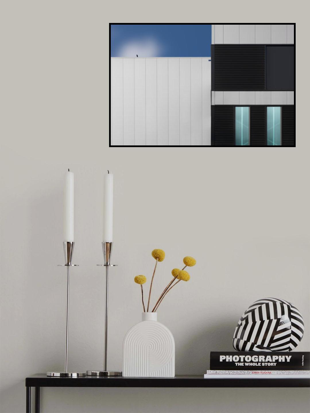 The lonely bird Poster och Canvastavla