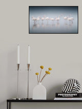 Framingos Poster och Canvastavla