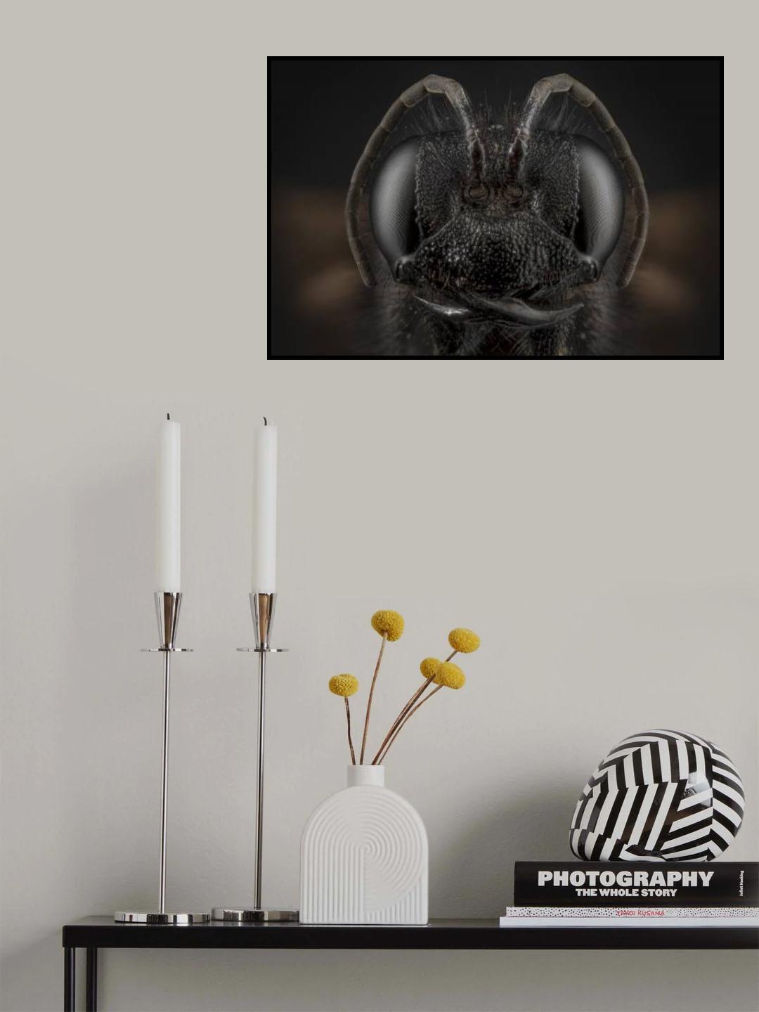black wasp Poster och Canvastavla