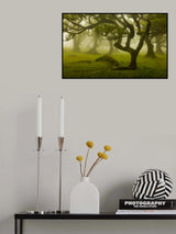 Magic Forest Poster och Canvastavla