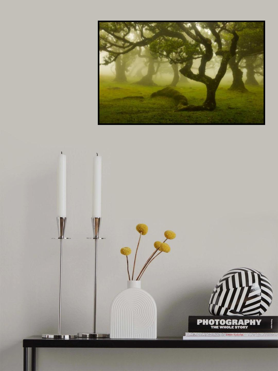 Magic Forest Poster och Canvastavla