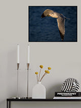 Last Meal before Sunset Poster och Canvastavla