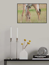 Protected Poster och Canvastavla