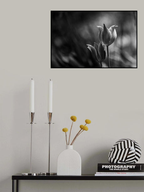 Tulips Poster och Canvastavla