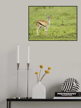 A rainy day Poster och Canvastavla