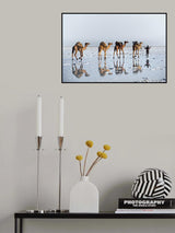 Reflections of an ancient life Poster och Canvastavla