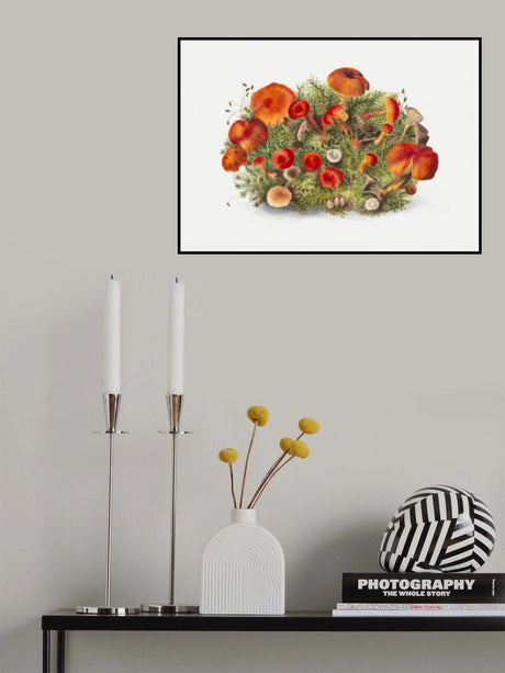Study of Mushrooms (1880) Horizontal Poster och Canvastavla