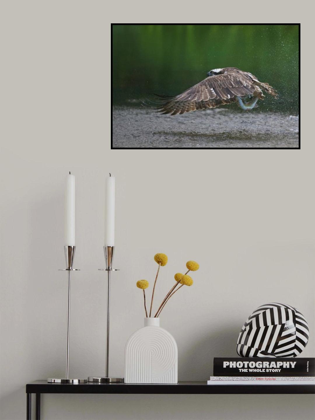 Splash Poster och Canvastavla