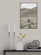 Palm House Poster och Canvastavla