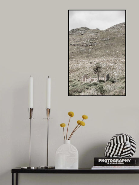 Palm House Poster och Canvastavla