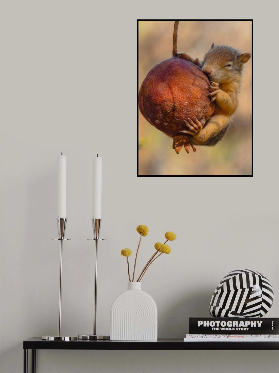 Squirrel Poster och Canvastavla