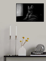 SIMBA Poster och Canvastavla