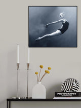 Fly Poster och Canvastavla