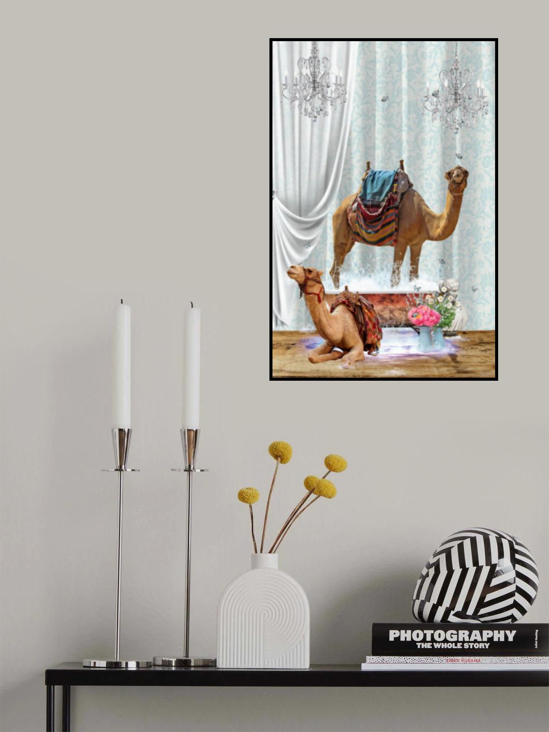 Camels &amp; Bubbles Poster och Canvastavla