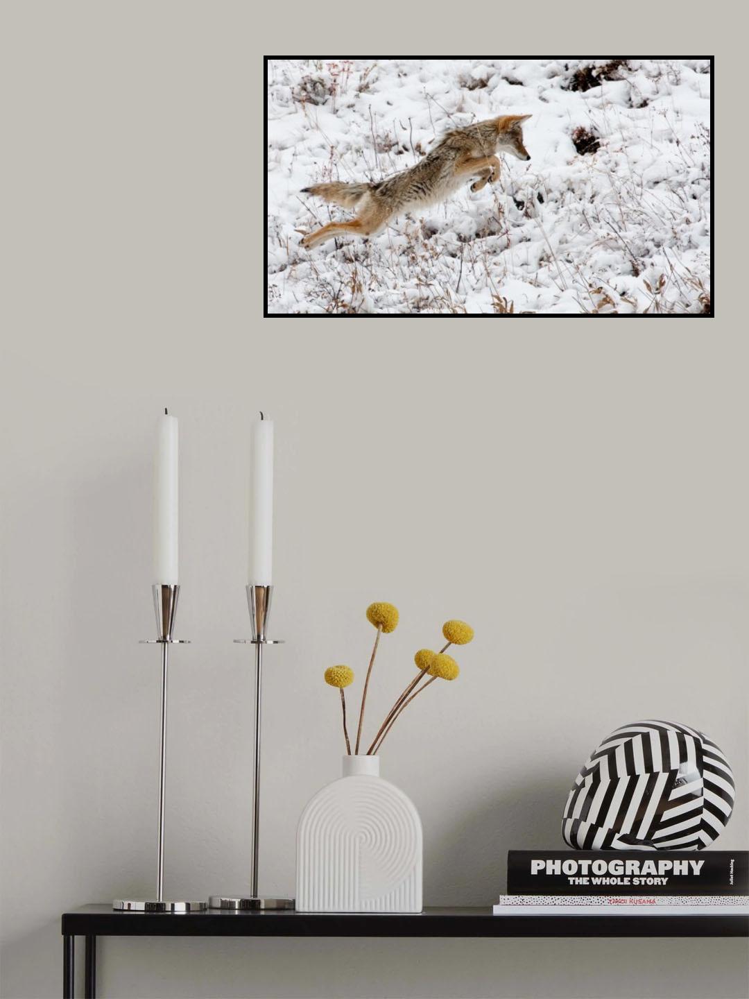 Pouncing !! Poster och Canvastavla