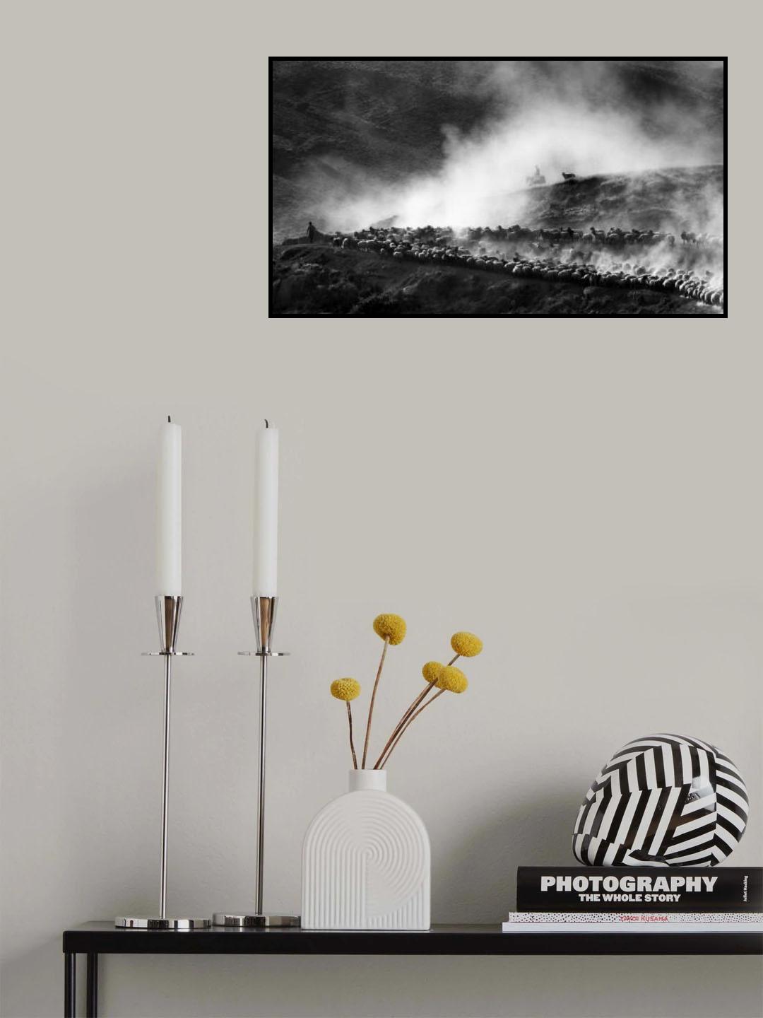 herd Poster och Canvastavla