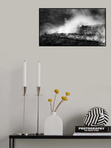 herd Poster och Canvastavla