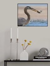 Poster och Canvastavla