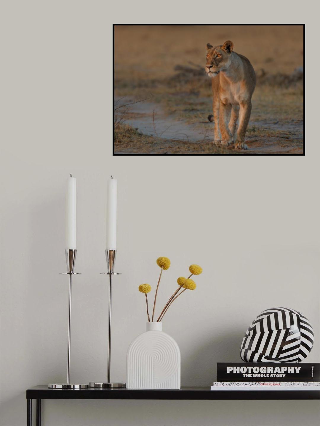 walking lady Poster och Canvastavla
