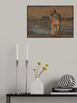 walking lady Poster och Canvastavla